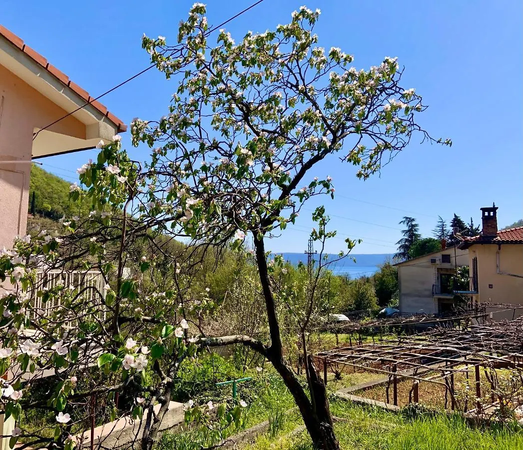 Villa Flamingo Moscenicka Draga Croatia