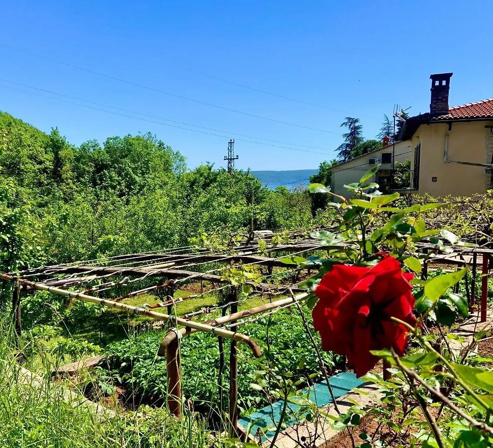 Villa Flamingo Moscenicka Draga 0*,  Croatia